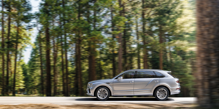 Bentley Basel Bentley Bentayga Extended Wheelbase SUV in Moonbeam paint driving dynamically on a forest road